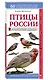 Птицы России. Наглядный карманный определитель - фото 3