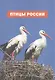Птицы России. Популярная детская энциклопедия - фото 3
