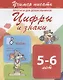Цифры и знаки. Прописи для дошкольников. 5-6 лет - фото 1