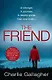The Friend - фото 1