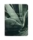 Блокнот "Botanica. Сансевиерия", 32 листов в клетку, 105 х 140, скрепка - фото 1
