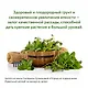 Огород на подоконнике. Идеальный урожай не выходя из дома - фото 12