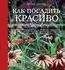 Как посадить красиво. Дизайн с растениями для начинающих - фото 1