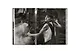 Peter Lindbergh. Untold Stories - фото 3