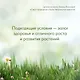 Сад в природном стиле. Нетронутая красота - фото 9