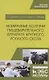 Незаразные болезни пищеварительного аппарата крупного рогатого скота. Учебное пособие - фото 1