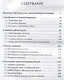Как начинаются войны? На примере Первой Мировой - фото 2