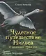Чудесное путешествие Нильса с дикими гусями - фото 1