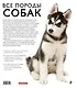 Все породы собак - фото 2