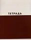 Тетрадь 48л кл. "Двухцветная" мел.картон, ассорти - фото 5