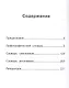 Универсальный словарь. Как писать и говорить правильно. 1-4 классы - фото 2