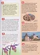 Чудеса России. Энциклопедия российского школьника - фото 5