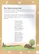Творческие задания. Времена года. Лето. Тетрадь для занятий с детьми 6-7 лет - фото 3