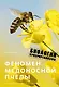 Феномен медоносной пчелы. Биология суперорганизма - фото 1