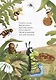 Мыши водят хоровод Потешки (илл. Лаврентьева) (мМПС) - фото 4