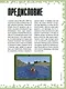 Советы путешественнику. Неофициальное издание Minecraft - фото 2