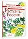 Растения России - фото 3