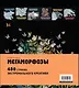 Мегаморфозы. 480 страниц экстремального креатива - фото 2