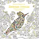 Дивные птицы. Книга для творчества и вдохновения - фото 1