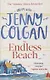 The Endless Beach - фото 1