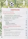 Физическая культура. Футбол для всех. 1-4 классы. Учебник - фото 2