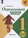 Окружающий мир. 1 класс. Учебное пособие. В 4 частях. Часть 4 (для слабовидящих обучающихся) - фото 1