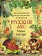 Русский лес. Грибы и ягоды - фото 1