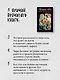 Фронтовые байки, рассказанные котом полка - фото 7
