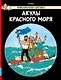 Акулы Красного моря - фото 1