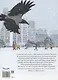 А снег все шёл и шёл… - фото 2