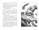 Верные. Книга 2. Тайна трёх колец - фото 9