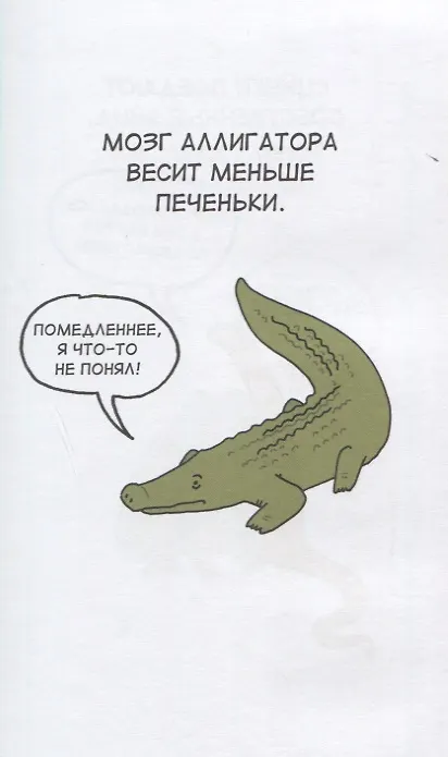 Грустные факты о животных - фото 2