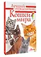 Литература с видео-уроками - фото 3