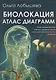 Биолокация. Атлас диаграмм. Биолокационный метод определения немедикаментозного лечения - фото 1