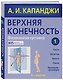 Верхняя конечность.Физиология суставов, 6-е изд. - фото 3
