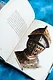 Книга воина света - фото 13