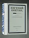 Евгений Онегин. Блэкаут - фото 3