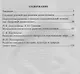 Организация предметно-развивающей среды. Из опыта работы. ФГОС ДО. 2-е издание - фото 2
