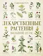 Лекарственные растения. Большой атлас - фото 1