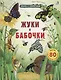 Жуки и бабочки. Более 80 секретных створок - фото 1