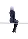 Фигурка Аниме SEGA Семья шпиона Spy x Family Fiona Frost 14см 4580779529712(GDS916) - фото 4