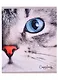 Тетрадь общая «Cat eye» в ассортименте, 48 листов в клетку, A5 - Listoff - фото 1