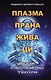 Плазма. Прана. Жива. Ци. Введение в нанопплазменные технологии. Сборник материалов и статей - фото 1