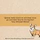 Очаровательные корги: походка, которая вдохновляет! - фото 5