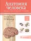 Анатомия человека.Т.3-Нервная система.Органы чувств.Учебник в 3 томах - фото 1