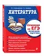 Литература. Сочинение на ЕГЭ. Интенсивная подготовка - фото 2