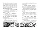 Повелитель драконов. Книга 1 - фото 14