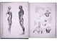 Alien Covenant. Davids Drawings - фото 9