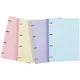 Тетрадь на кольцах в клетку Erich Krause, Pastel, А4, 80 листов, в ассортименте - фото 6