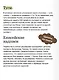 Мифы тюрков. От Златовласой Умай и Урал-батыра до исполина Алпамыша и Пегого Быка - фото 7